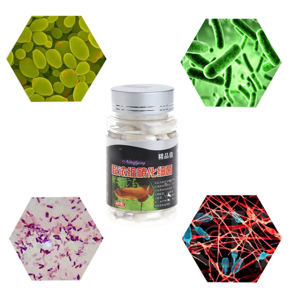 60 Pcs Nitrifying Bacterias Capsules for Freshwater and Marine Water ...